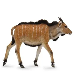 Giant Eland Calf