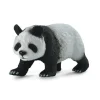 Giant Panda