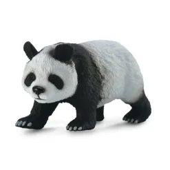 Giant Panda