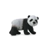 Giant Panda Cub Standing