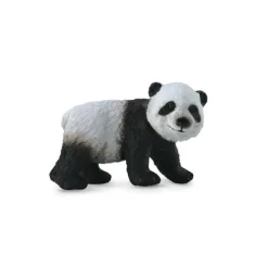 Giant Panda Cub Standing