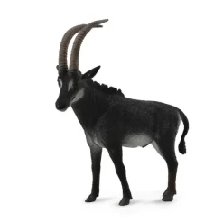 Giant Sable Antelope Male