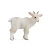 Goat Kid - Standing