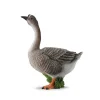 Goose