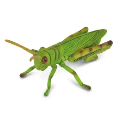 Grasshopper