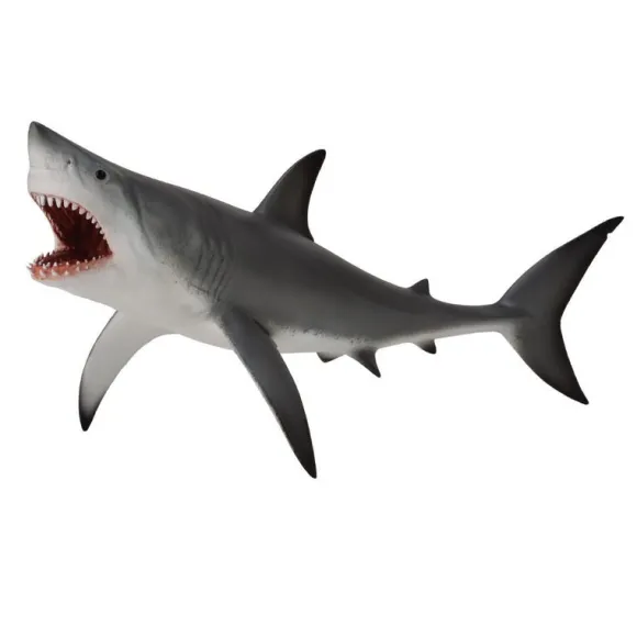 Great White Shark Open Jaw