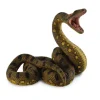Green Anaconda