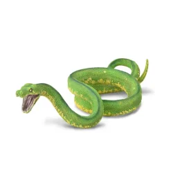 Green Tree Python