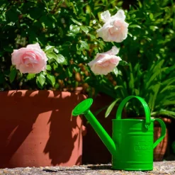 Green Watering Can