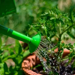 Green Watering Can