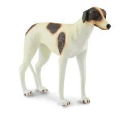 Greyhound