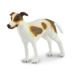 Greyhound Puppy