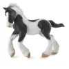 Gypsy Foal Black & White Piebald