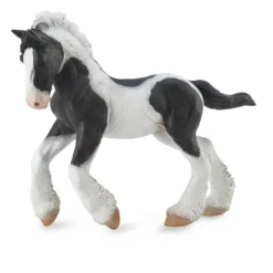 Gypsy Foal Black & White Piebald