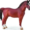 Hackney Stallion Chestnut