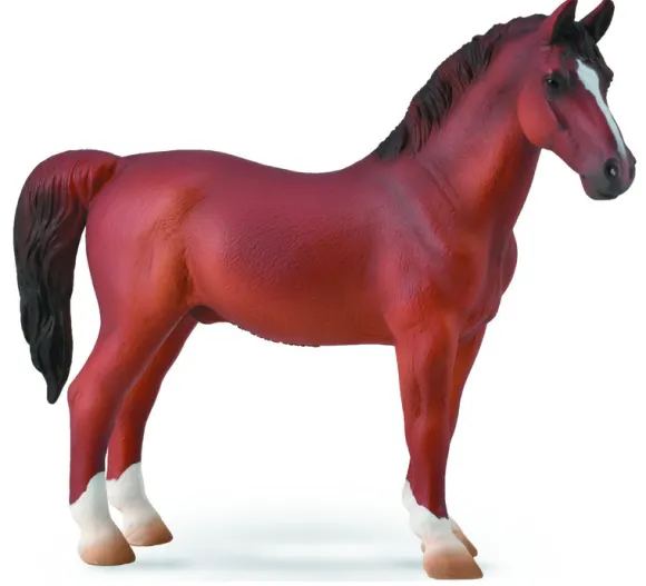 Hackney Stallion Chestnut