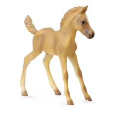 Haflinger Foal Standing