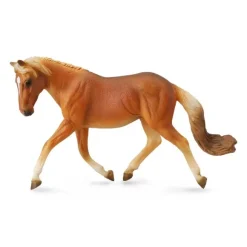 Haflinger Mare