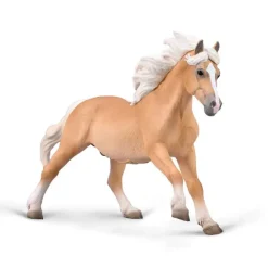 Haflinger Stallion