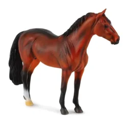 Hanoverian Stallion Bay