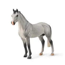 Hanoverian Stallion Dappled Grey