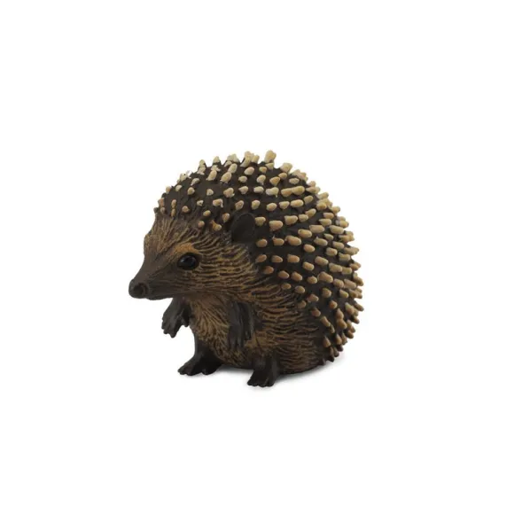 Hedgehog