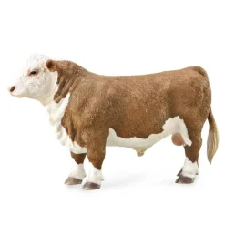 Hereford Bull (Polled)