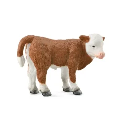 Hereford Calf Standing