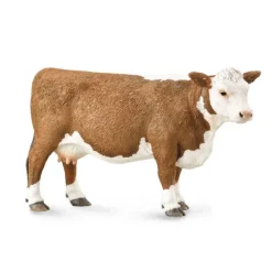 Hereford Cow