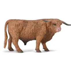 Highland Bull