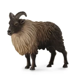 Himalayan Tahr