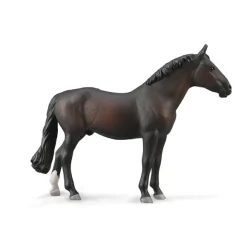 Holsteiner Stallion - Bay