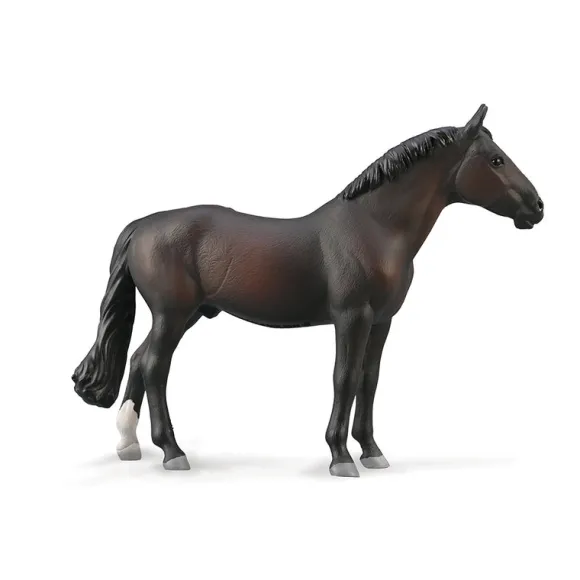Holsteiner Stallion - Bay
