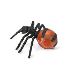 Honeypot Ant