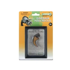 Hooked Thumb Claw Of Baryonyx In Display Case