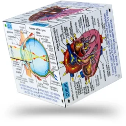 Human Body Systems and Statistics Cubebook