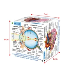 Human Body Systems and Statistics Cubebook