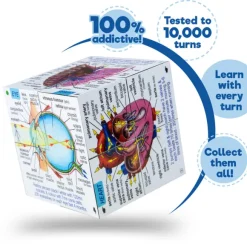 Human Body Systems and Statistics Cubebook