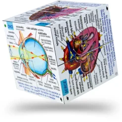 Human Body Systems and Statistics Cubebook