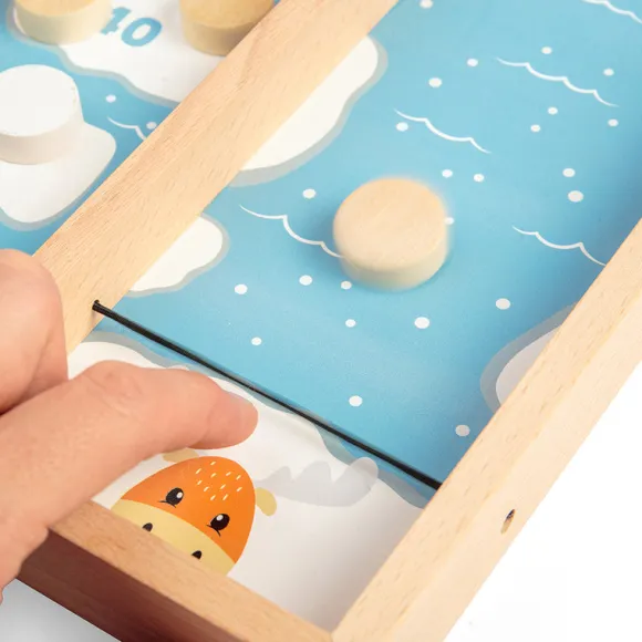 Ice Puck Game
