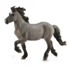 Icelandic Stallion - Blue Dun
