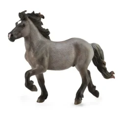 Icelandic Stallion - Blue Dun