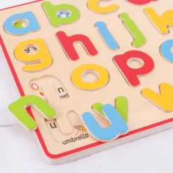 Inset Puzzle Lowercase Alphabet