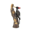 Ivory-Billed Woodpecker