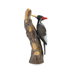 Ivory-Billed Woodpecker