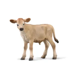 Jersey Calf