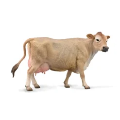 Jersey Cow