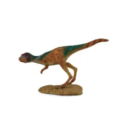 Juvenile Tyrannosaurus Rex
