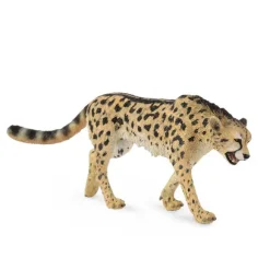 King Cheetah