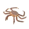 King Crab